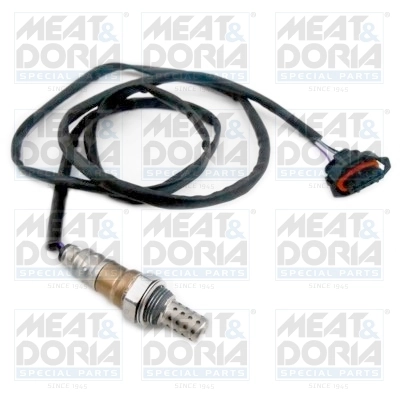Oxygen Sensor